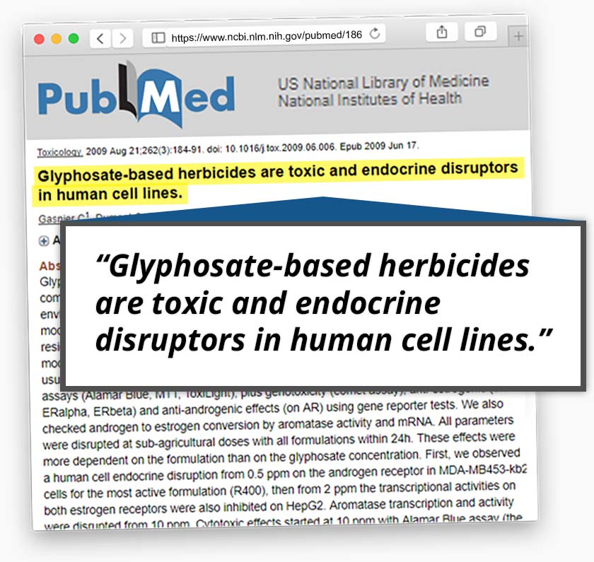 Glyphosate Toxic and Endocrine Disrupting