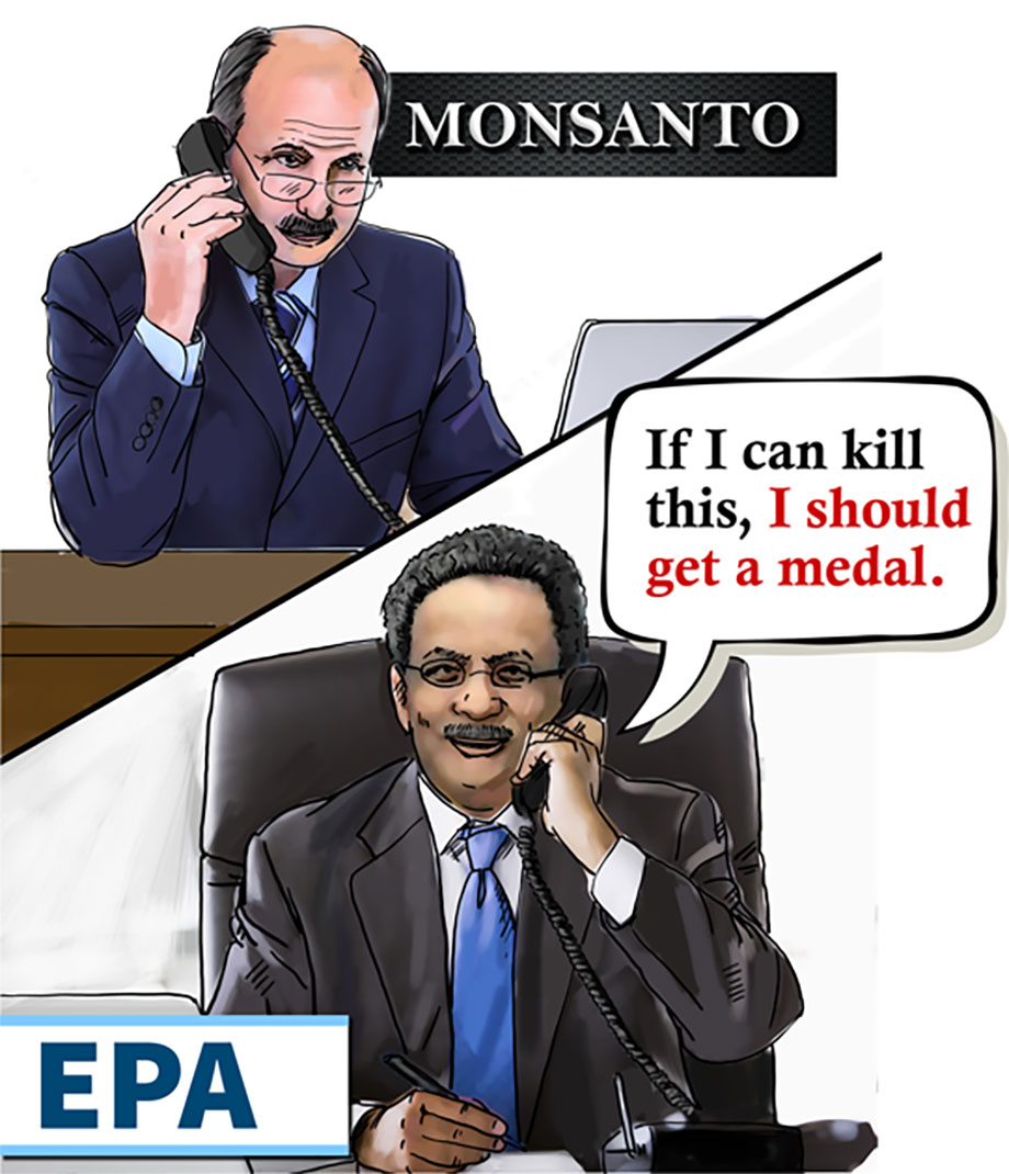 Monsanto and EPA